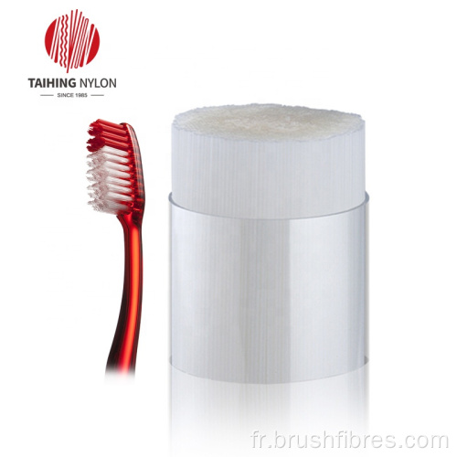 Filament conique PBT satisfaisant pour la brosse à dents